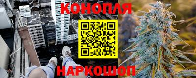 СК Краснознаменск