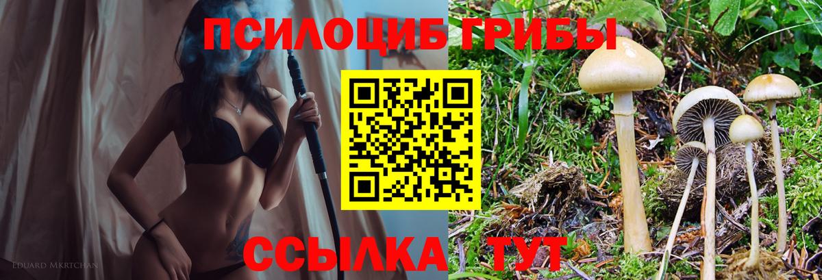 Галлюциногенные грибы MAGIC MUSHROOMS  закладки  Алапаевск  Вход с VPN 