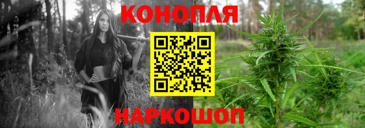Бошки марихуана конопля Алапаевск